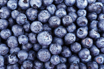 Fresh blueberries close up