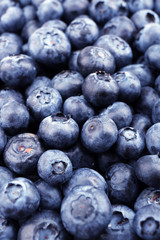 Fresh blueberries close up