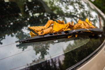 Herbst Gefahr Laubblätter Heckscheibenwischer