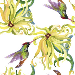 Tropical floral watercolor seamless pattern with colibris and