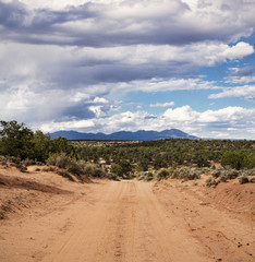 Dirt Road Leading Off Into the Desert