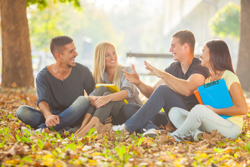 Group of cheerful young students sitting on the ground in a park and studying toghether