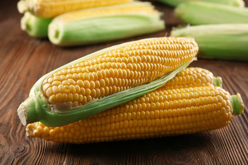 Ripe corn on wooden background