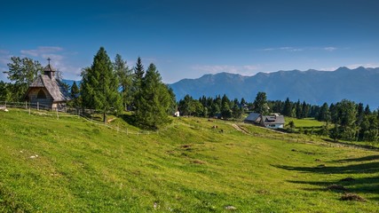 Fototapeta na wymiar Alpine Meadow Planina Uskovnica in Bohinj