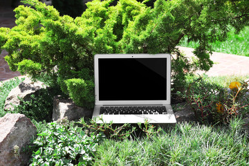 Laptop on green lawn