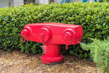 American Fire hydrant