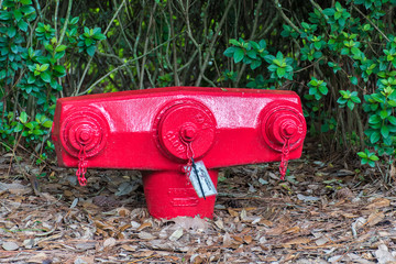 American Fire hydrant