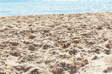 Beach in Summer