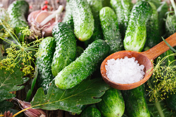 Salted ,pickled cucumbers. Harvesting garlic,salt,herbs and pepper.selective focus