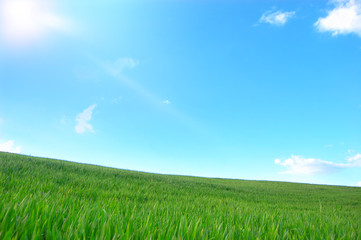 Bellissima collina verde con il sole che splende nel cielo azzurro 