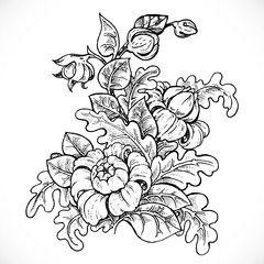 Black and white drawing fantasy flower on white background