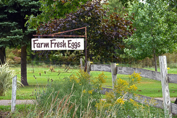 farm fresh egg sign on rusty post