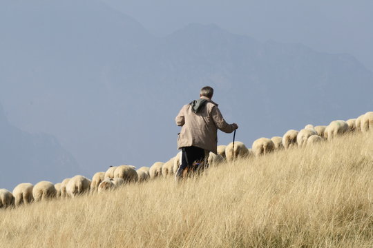Italy, garda lake, monte baldo-A shepherd with sheep
