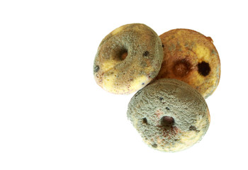 Fungus on donuts