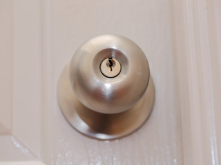 stainless steel round ball door knob close up view