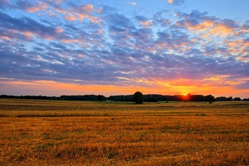 Sunset at summer fields