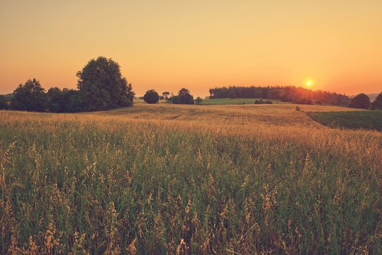 Vintage sunset over summer fields