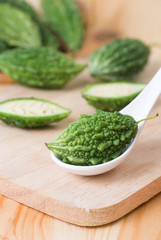 balsam apple (balsam pear, bitter cucumber, bitter gourd, bitter