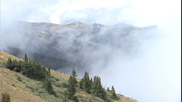 Pan Dense fog in mtn valley