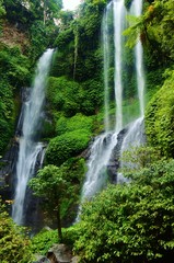 Fototapeta na wymiar Waterfall in Jungle