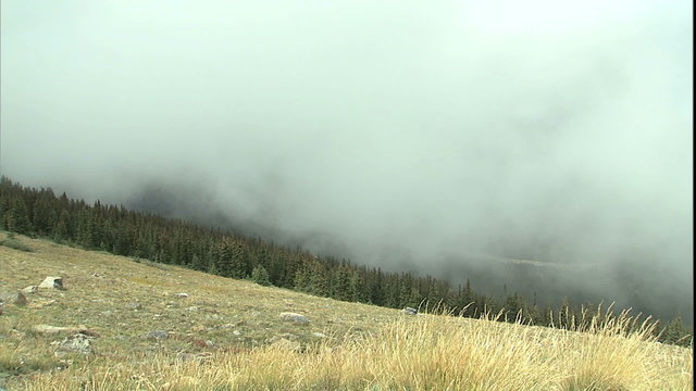 Fog blowing up Mtn canyon