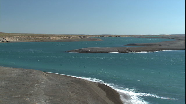 MCU Argentina's Peninsula Valdez coast
