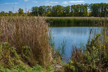 Place for fishing in the reeds, Russia