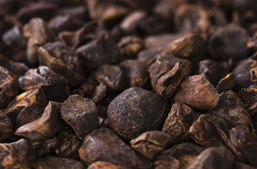 Whole Cola Nuts (background image)