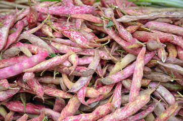 Pink and white bean pods