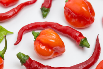 トウガラシ　ハバネロ