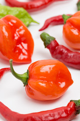 生のトウガラシ　ハバネロ、ジョロキア、赤トウガラシ