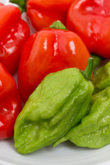 生のトウガラシ　ハバネロとジョロキア