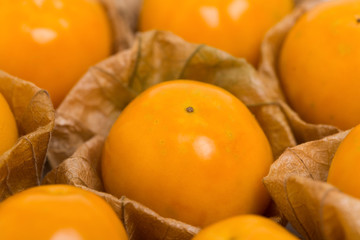 フルーツホオズキ