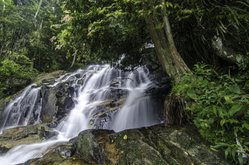 Amazing waterfall flow, falling from the hill, green forest, wet and mossy on the rock