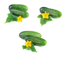 Set of Cucumber Vegetables with Leaves and Flowers, Isolated on White