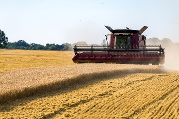 Combine working on the wheat field