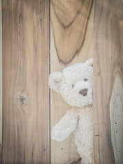 Teddy bear hiding behind a piece of wood