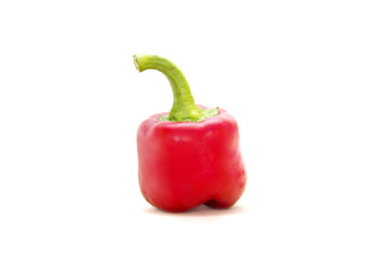 Single red pepper isolated on white background