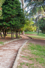 Fototapeta na wymiar Stone path between green trees