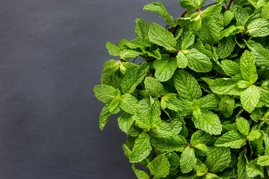 fresh mint leaves with black board for background
