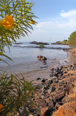 Seashore in tropics