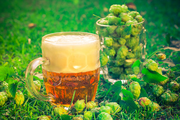 tankards full hop cones beer