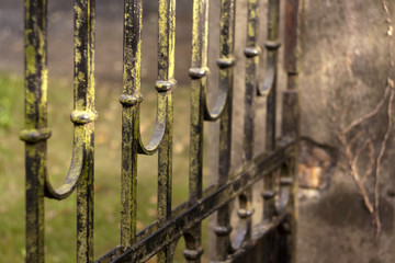 Details of a mossy iron gate