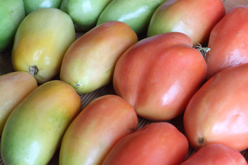Background from the ripening tomatoes
