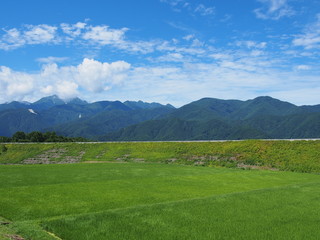 八ヶ岳高原