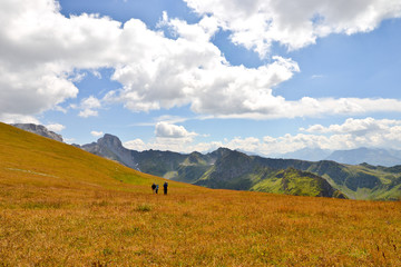Горный путь
