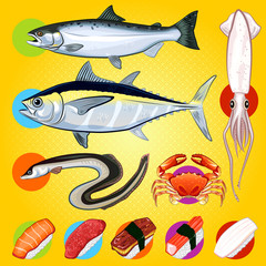 Japanese Sushi Fishes Sashimi
An Illustration Of Japanese Sushi Sashimi and Fishes
Contain Salmon, Tuna, Crab, Unagi & Squid Sushi