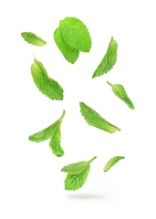 Fotobehang green mint leaves falling in the air isolated on white backgroun © sveta