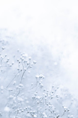 Małe De-focus Białe kwiaty z efektem Vintage jako Pocztówka obrazkowa - 91905559