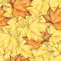 seamless watercolor background with colorful autumn maple leaves. original floral decoration.